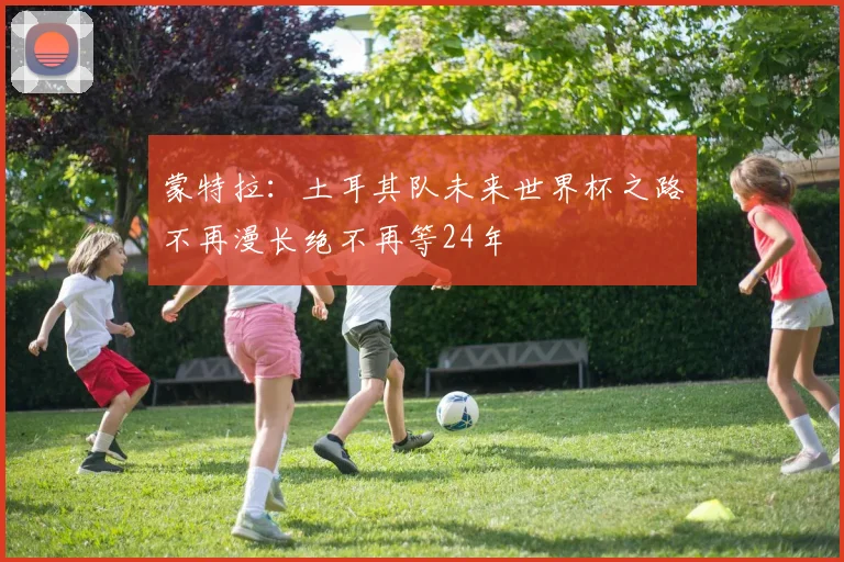 蒙特拉：土耳其队未来世界杯之路不再漫长绝不再等24年